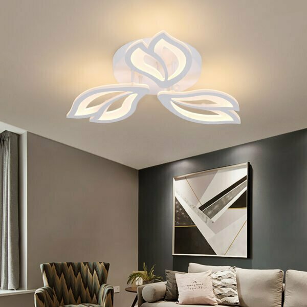 acrylic ceiling light