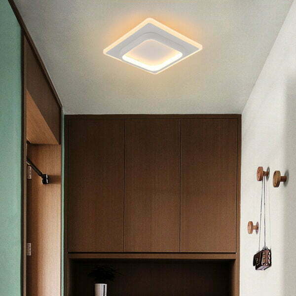 hallway ceiling light